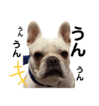 YAMATO だよ〜ん（個別スタンプ：9）