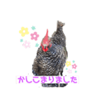 ジャッコちゃんとヘッコちゃん キモチ（個別スタンプ：3）