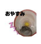 うちのはむず（個別スタンプ：4）