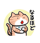 アニメ好き猫（ライトオタク）の日常会話（個別スタンプ：36）