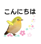 毎日に優しさを♥️(小鳥のパステル画 2 )（個別スタンプ：5）