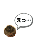 ちびハムちゃん8（個別スタンプ：8）