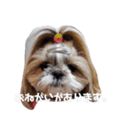 mocotam6moa 2021 vol.2（個別スタンプ：5）