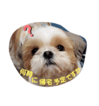 mocotam6moa 2021 vol.2（個別スタンプ：6）
