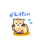 こびねこ（個別スタンプ：8）