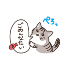 こびねこ（個別スタンプ：22）