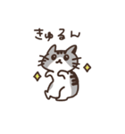 こびねこ（個別スタンプ：26）