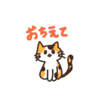 こびねこ（個別スタンプ：30）