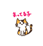 こびねこ（個別スタンプ：31）