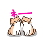 こびねこ（個別スタンプ：35）