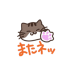 こびねこ（個別スタンプ：40）