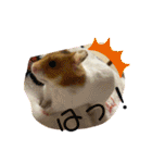 キャロstamp（個別スタンプ：6）