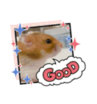 キャロstamp（個別スタンプ：17）