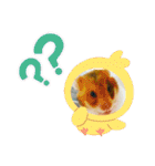 キャロstamp（個別スタンプ：27）