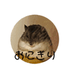 キャロstamp（個別スタンプ：32）