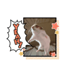 キャロstamp（個別スタンプ：36）