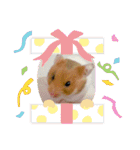 キャロstamp（個別スタンプ：38）