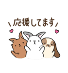 うさぎ3兄弟♪日常ことば（個別スタンプ：1）