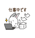 うさぎ3兄弟♪日常ことば（個別スタンプ：13）