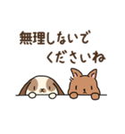 うさぎ3兄弟♪日常ことば（個別スタンプ：20）