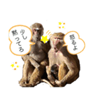 だんとから（個別スタンプ：4）