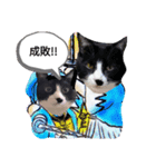 ミー介で候（個別スタンプ：1）