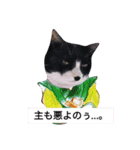 ミー介で候（個別スタンプ：2）