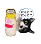 ミー介で候（個別スタンプ：5）