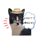 ミー介で候（個別スタンプ：6）