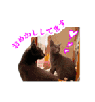 ねこのらら（個別スタンプ：2）
