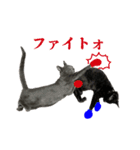 ねこのらら（個別スタンプ：7）