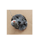 ねこのらら（個別スタンプ：18）