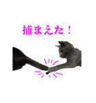 ねこのらら（個別スタンプ：21）