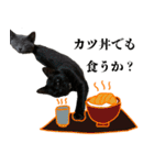 ねこのらら（個別スタンプ：31）