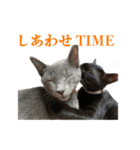 ねこのらら（個別スタンプ：32）