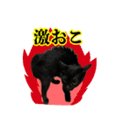 ねこのめめ（個別スタンプ：1）