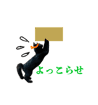 ねこのめめ（個別スタンプ：18）