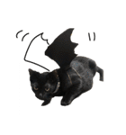 ねこのめめ（個別スタンプ：20）