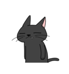 シシシくろねこ version 2（個別スタンプ：7）