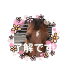 ドレッサーとその仲間たち☆その3（個別スタンプ：2）