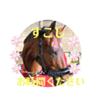 ドレッサーとその仲間たち☆その3（個別スタンプ：7）