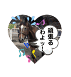 ドレッサーとその仲間たち☆その3（個別スタンプ：12）