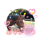 ドレッサーとその仲間たち☆その3（個別スタンプ：13）