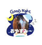 ドレッサーとその仲間たち☆その3（個別スタンプ：14）