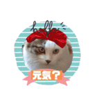 ドレッサーとその仲間たち☆その3（個別スタンプ：16）