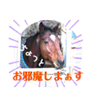 ドレッサーとその仲間たち☆その3（個別スタンプ：23）
