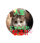 ドレッサーとその仲間たち☆その3（個別スタンプ：30）