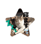 ドレッサーとその仲間たち☆その3（個別スタンプ：34）