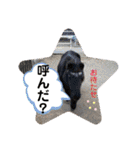 ドレッサーとその仲間たち☆その3（個別スタンプ：36）