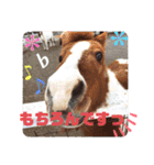 ドレッサーとその仲間たち☆その3（個別スタンプ：40）